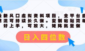 最新风口虚拟资料项目，全平台自然流可持续长久做。复制粘贴 日入四位数