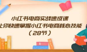 小红书电商实战速成课，让你快速掌握小红书电商核心技能（28节）