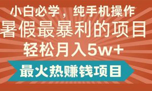 小白必学，纯手机操作，暑假最暴利的项目轻松月入5w 最火热赚钱项目