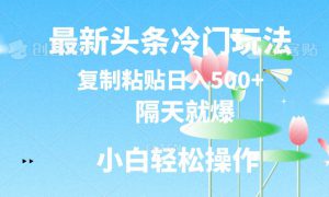 最新头条冷门玩法，隔天就爆，复制粘贴日入500