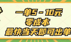 一单5-10元，零成本，最快当天即可出单