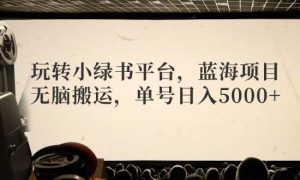 玩转小绿书平台，蓝海项目，无脑搬运，单号日入5000