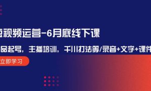 短视频运营-6月底线下课：单品起号，主播培训，千川打法等/录音 文字 课件