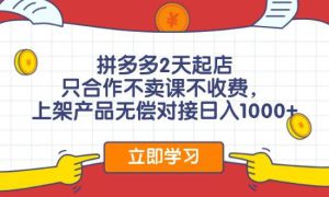 拼多多0成本开店，只合作不卖课不收费，0成本尝试，日赚千元