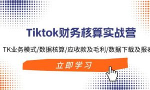 Tiktok财务核算实战营：TK业务模式/数据核算/应收款及毛利/数据下载及报表