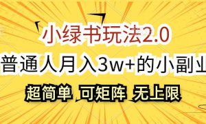 小绿书玩法2.0，超简单，普通人月入3w 的小副业，可批量放大