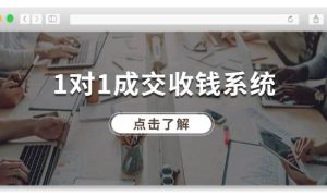 1对1成交 收钱系统，十年专注于引流和成交，全网130万 粉丝