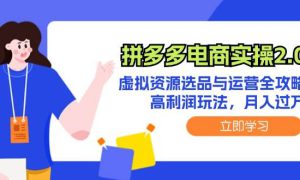 拼多多电商实操2.0：虚拟资源选品与运营全攻略，高利润玩法，月入过万