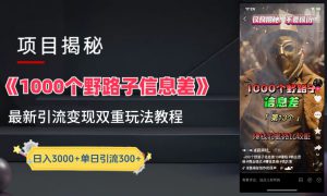 一千个野路子信息差24年最新玩法教程附带变现方法和引流的玩法具体拆解