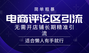 简单粗暴野路子引流-电商平台评论引流大法，无需开店铺长期精准引流适合懒人有手就行