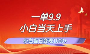 一单9.9，一天轻松上百单，不挑人，小白当天上手，一分钟一条作品