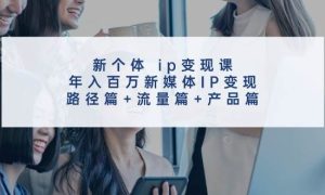 新个体 ip变现课，年入百万新媒体IP变现，路径篇 流量篇 产品篇