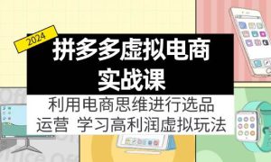 拼多多虚拟电商实战课：利用电商思维进行选品 运营，学习高利润虚拟玩法