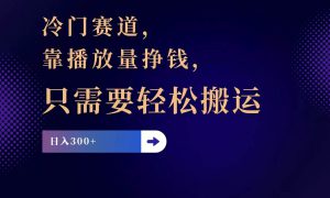 冷门赛道，靠播放量挣钱，只需要轻松搬运，日赚300