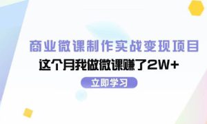 商业微课制作实战变现项目，这个月我做微课赚了2W