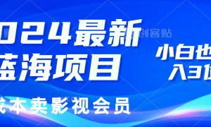 0成本卖影视会员，2024最新蓝海项目，小白也能日入3位数