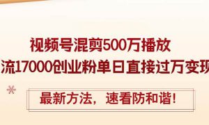 精华帖视频号混剪500万播放引流17000创业粉，单日直接过万变现，最新方…