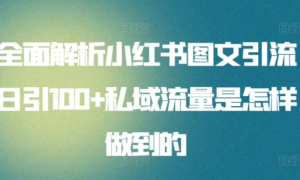 日引流100私域流量小红书图文是怎样做到的全面解析