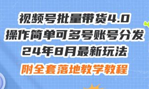 24年8月最新玩法视频号批量带货4.0，操作简单可多号账号分发，附全套落…