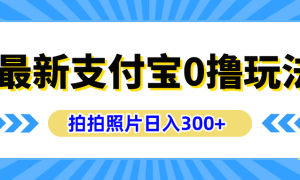 最新支付宝0撸玩法，拍照轻松赚收益，日入300 有手机就能做