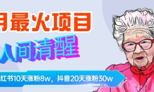 9月最火项目，人间清醒柒奶奶，10天小红薯涨粉8w ，单篇笔记报价1400.