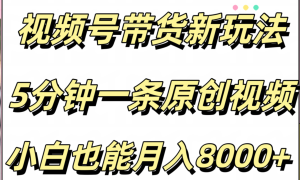 视频号带货新玩法，5分钟一条原创视频，小白也能月入8000