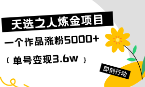 天选之人炼金热门项目，一个作品涨粉5000 ，单号变现3.6w