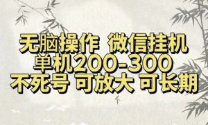 无脑操作微信视频号挂机单机200-300一天，不死号，可放大，工作室实测