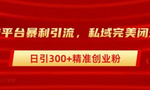 跨平台暴力引流，私域完美闭环，日引300 精准创业粉