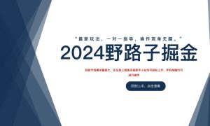 2024野路子掘金，最新玩 法， 一对一指导，操作简单无脑。