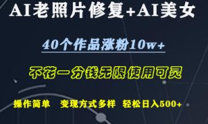 AI老照片修复 AI美女玩发  40个作品涨粉10w   不花一分钱使用可灵  操作简单  变现方式多样话   轻松日去500