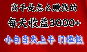 一天收益3000左右，长期项目，很稳定！