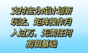 支付宝分成计划新玩法，矩阵操作月入过万，无需任何剪辑基础