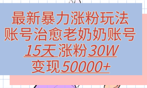 最新暴力涨粉玩法，治愈老奶奶账号，15天涨粉30W，变现50000 【揭秘】