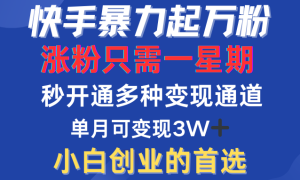 快手暴力起万粉，涨粉只需一星期！多种变现模式