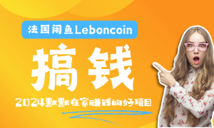 法国闲鱼Leboncoin跨境电商教程：环境邮箱电话解决产品上传及流量，悄悄赚钱