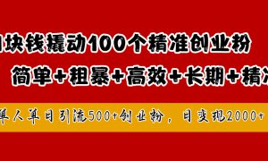 1块钱撬动100个精准创业粉，简单粗暴高效长期精准，单人单日引流500 创业粉，日变现2000