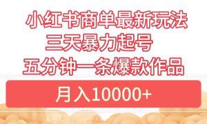 小红书商单最新玩法 3天暴力起号 5分钟一条爆款作品 月入10000