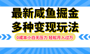 最新咸鱼掘金玩法，更新玩法，0成本小白无压力，多种变现轻松月入过万