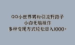 QQ小世界男粉引流野路子，小白无脑操作，多种变现方式轻松日入1000