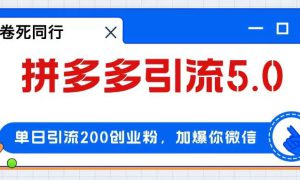 拼多多引流付费创业粉，单日引流200 ，日入4000