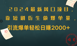 2024最新风口项目，引流爆单轻松日赚2000 ，靠短剧衍生做爆单量