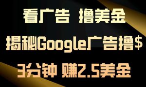 看广告，撸美金！3分钟赚2.5美金！日入200美金不是梦！揭秘Google广告撸美金全攻略！