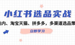 小红书选品实战：站内、淘宝天猫、拼多多，多渠道选品策略