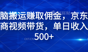 无脑搬运赚取佣金，京东电商视频带货，单日收入500