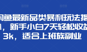 闲鱼最新品类暴利玩法揭秘，新手小白7天轻松赚3000 ，适合上班族副业