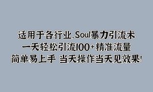 适用于各行业，Soul暴力引流术，一天轻松引流100 精准流量，简单易上手 当天操作当天见效果!