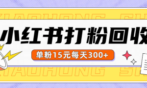 小红书打粉，单粉15元回收每天300