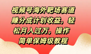 视频号海外靶场赛道赚分成计划收益，轻松月入过万，操作简单保姆级教程