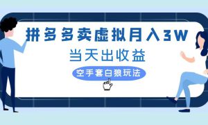 拼多多虚拟项目，单人月入3W ，实操落地项目